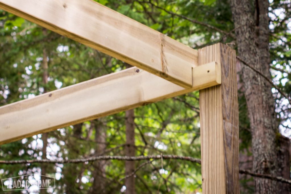 Inside Railings for Treehouse